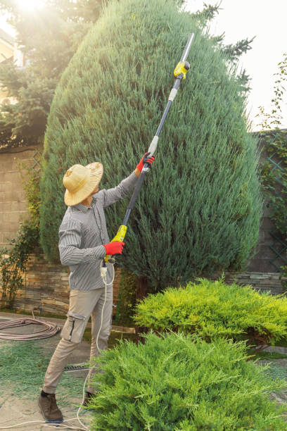 Best Lawn Pest Prevention  in Noblesville, IN